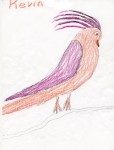 Bird (Kevin)